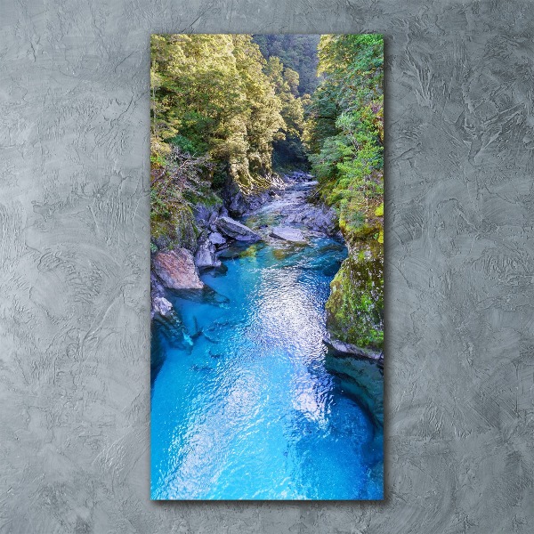Bild auf Acrylglas vertikal Fluss im Wald