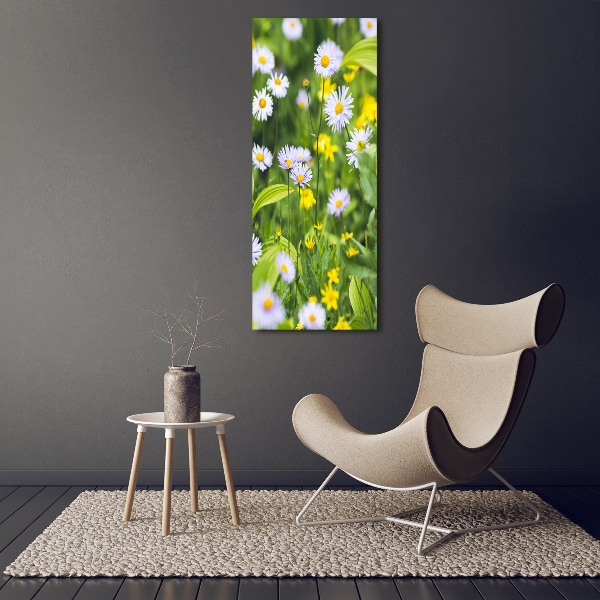 Bild auf Acrylglas vertikal Gänseblümchen
