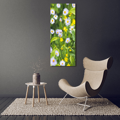 Bild auf Acrylglas vertikal Gänseblümchen