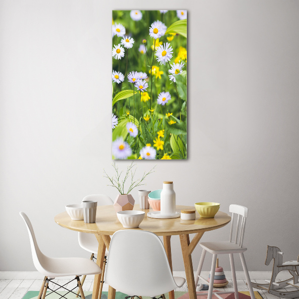 Bild auf Acrylglas vertikal Gänseblümchen
