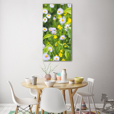Bild auf Acrylglas vertikal Gänseblümchen