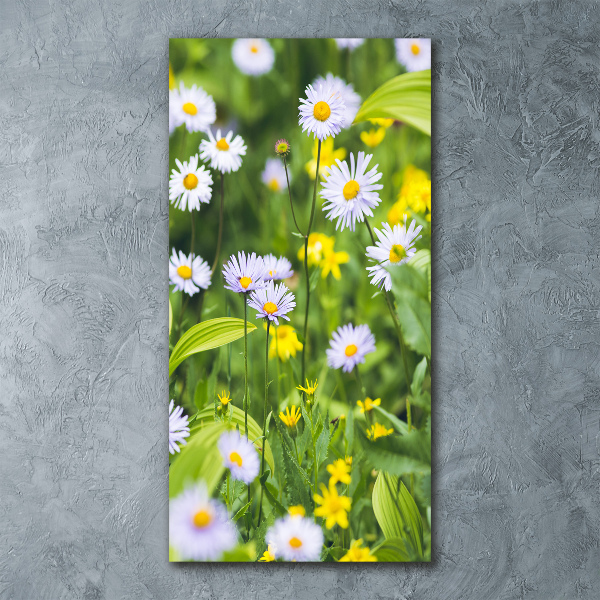 Bild auf Acrylglas vertikal Gänseblümchen