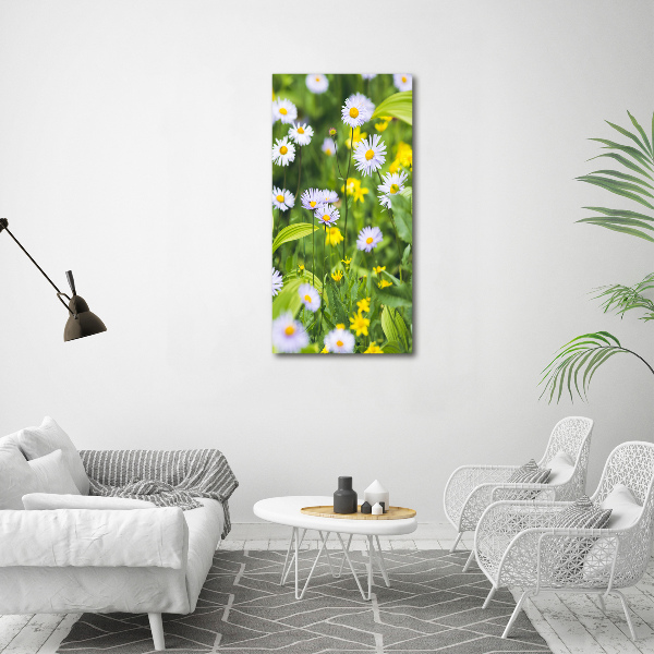 Bild auf Acrylglas vertikal Gänseblümchen