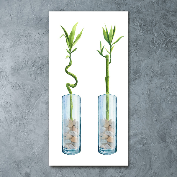 Plexiglasbilder vertikal Bambus im Topf