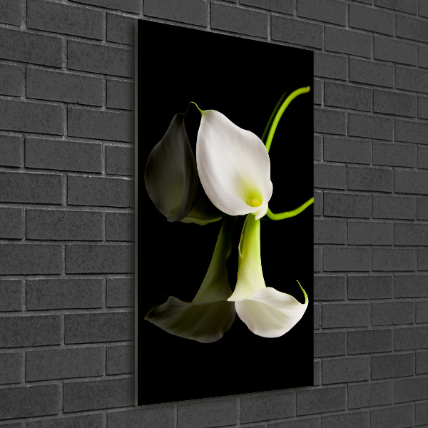 Modernes Acrylbild vertikal Weiße Calla