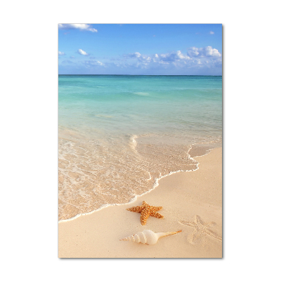 Acrylbild vertikal Seesterne am Strand