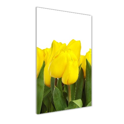 Bild auf Acrylglas vertikal Gelbe Tulpen