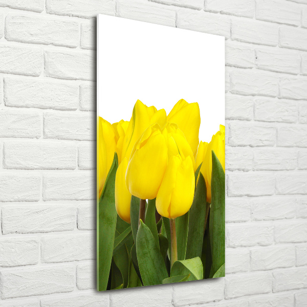 Bild auf Acrylglas vertikal Gelbe Tulpen