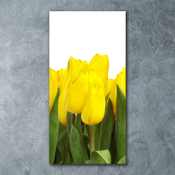 Bild auf Acrylglas vertikal Gelbe Tulpen