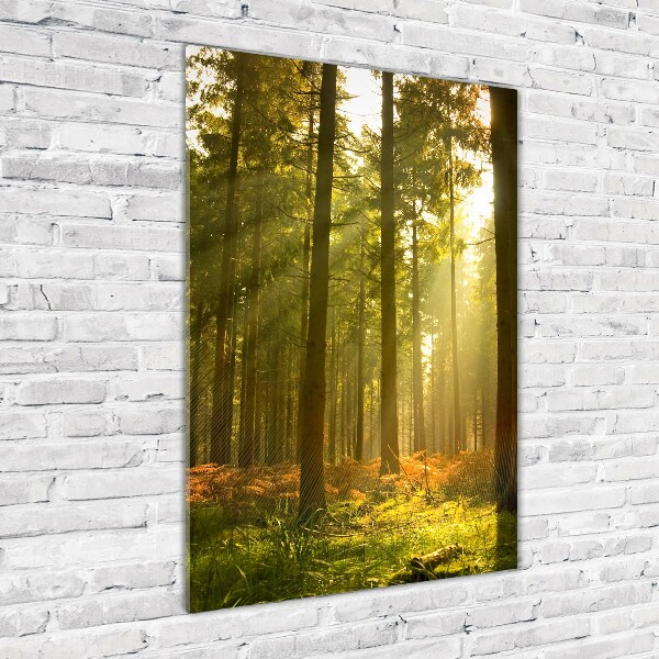 Plexiglasbilder vertikal Wunderschöner Wald