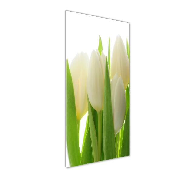 Plexiglasbilder vertikal Weiße Tulpen