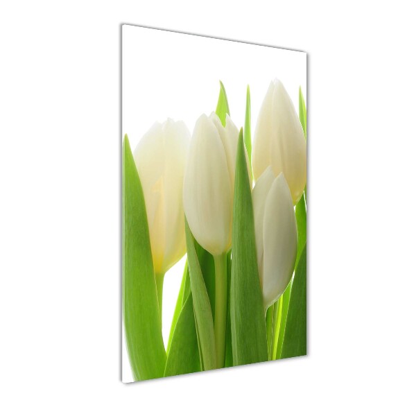 Plexiglasbilder vertikal Weiße Tulpen