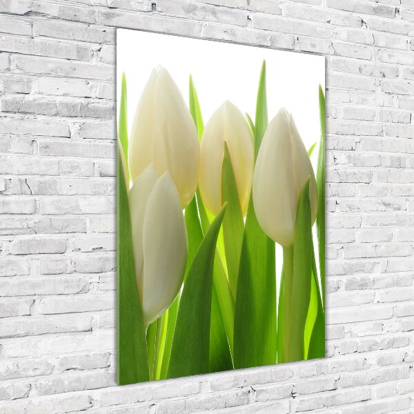 Plexiglasbilder vertikal Weiße Tulpen
