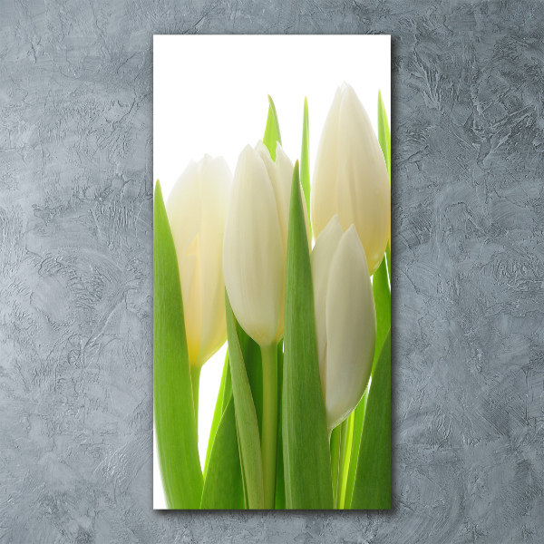 Plexiglasbilder vertikal Weiße Tulpen