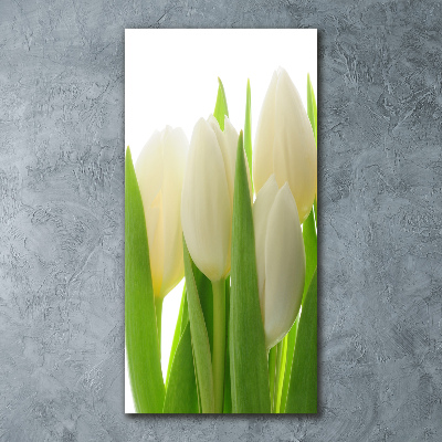 Plexiglasbilder vertikal Weiße Tulpen