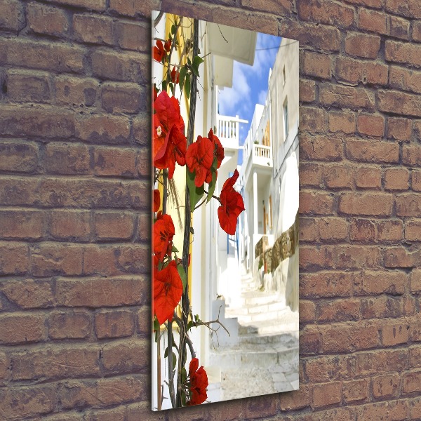 Plexiglasbilder vertikal Mykonos, Griechenland