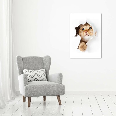 Bild auf Acrylglas vertikal Katze