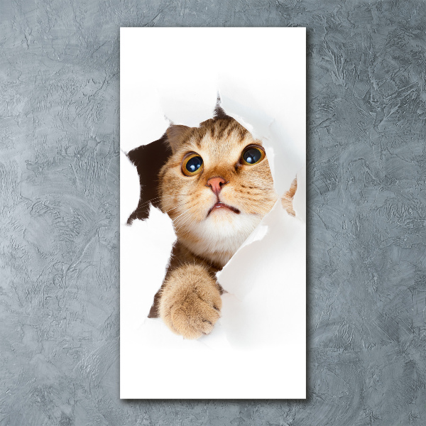Bild auf Acrylglas vertikal Katze