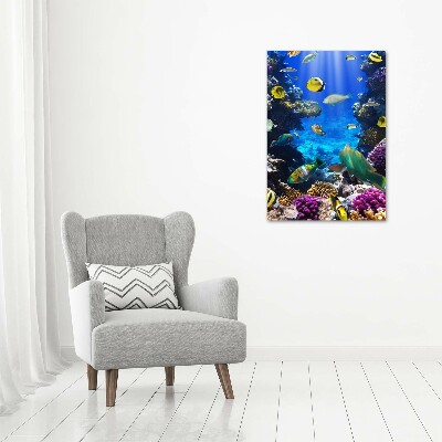 Plexiglasbilder vertikal Korallenriff