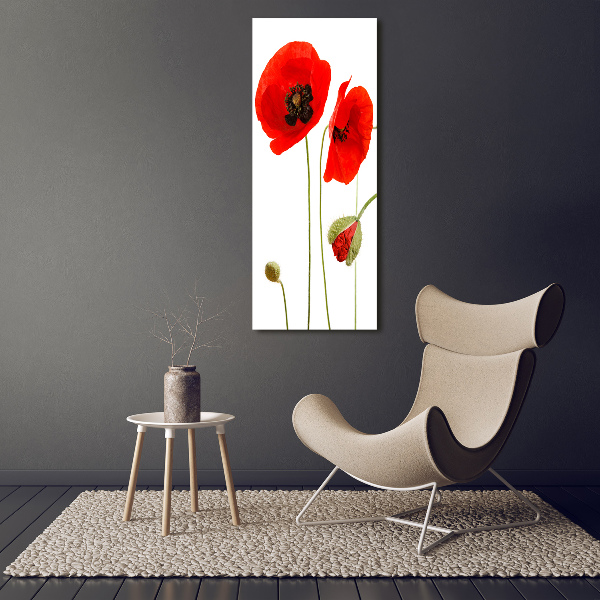 Bild auf Acrylglas vertikal Wildmohn