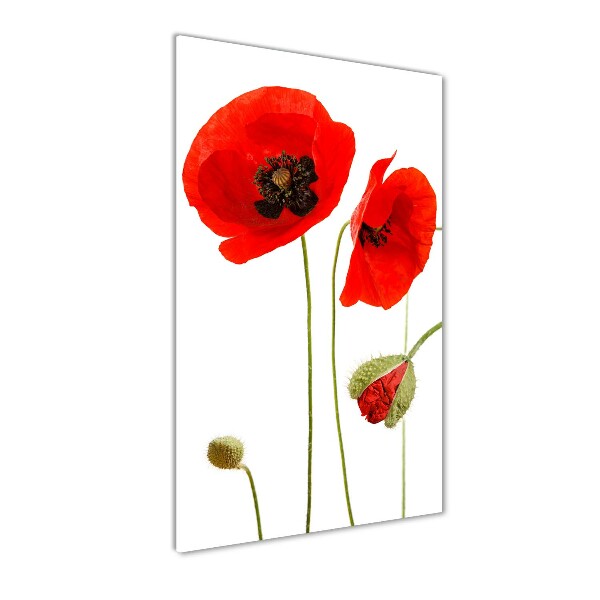 Bild auf Acrylglas vertikal Wildmohn