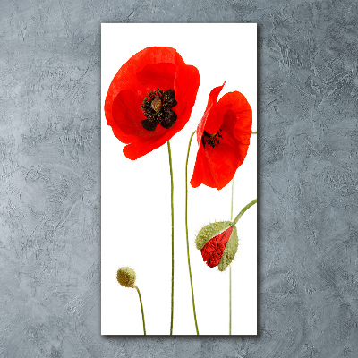 Bild auf Acrylglas vertikal Wildmohn