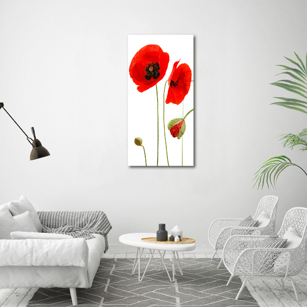 Bild auf Acrylglas vertikal Wildmohn
