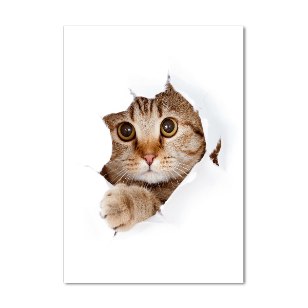 Acrylbild vertikal Katze