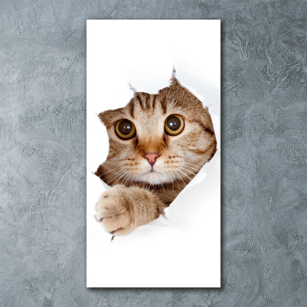 Acrylbild vertikal Katze