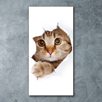 Acrylbild vertikal Katze