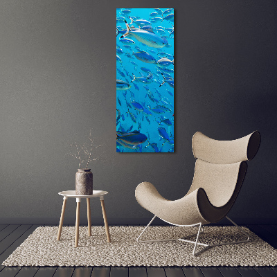 Bild auf Acrylglas vertikal Korallenfische