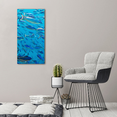Bild auf Acrylglas vertikal Korallenfische
