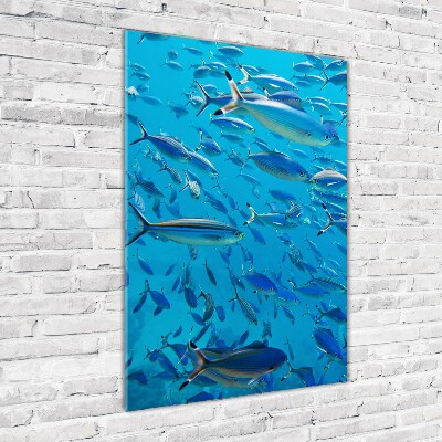 Bild auf Acrylglas vertikal Korallenfische
