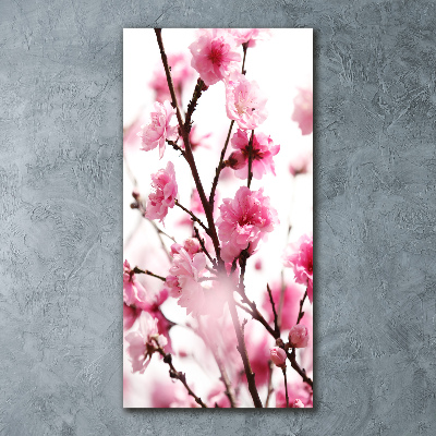 Bild auf Acrylglas vertikal Pflaumenblüten