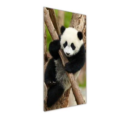 Bild auf Acrylglas vertikal Panda auf einem Baum