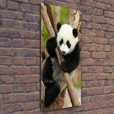Bild auf Acrylglas vertikal Panda auf einem Baum
