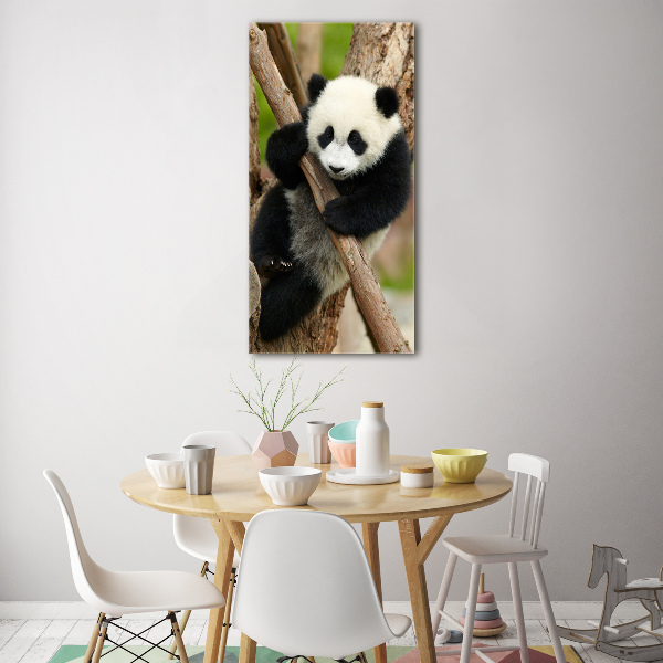 Bild auf Acrylglas vertikal Panda auf einem Baum