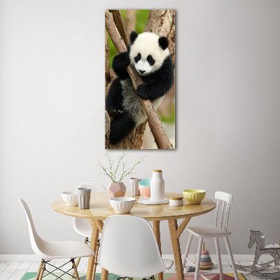 Bild auf Acrylglas vertikal Panda auf einem Baum