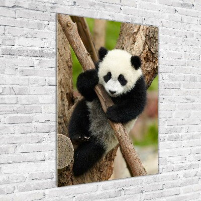 Bild auf Acrylglas vertikal Panda auf einem Baum