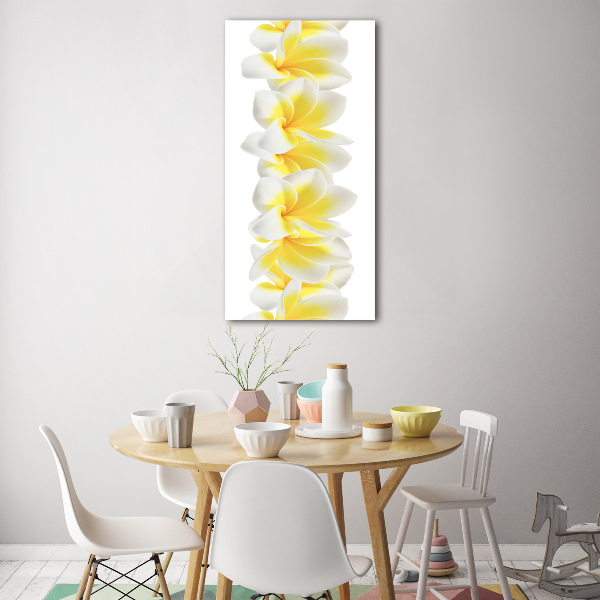 Bild auf Acrylglas vertikal Plumeria
