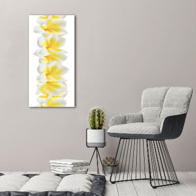 Bild auf Acrylglas vertikal Plumeria