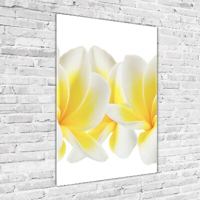 Bild auf Acrylglas vertikal Plumeria