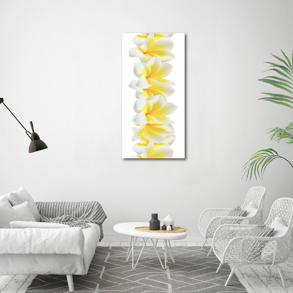 Bild auf Acrylglas vertikal Plumeria