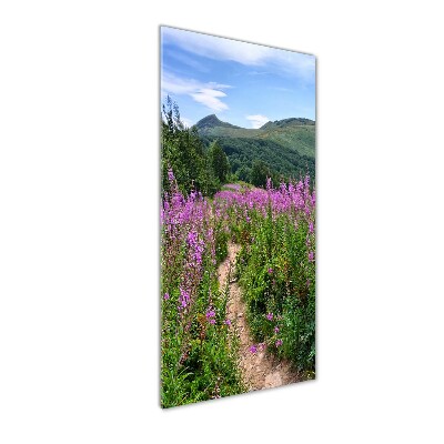 Plexiglasbilder vertikal Bieszczady