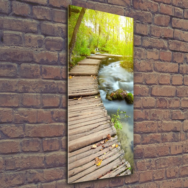 Bild auf Acrylglas vertikal Pfad im Wald