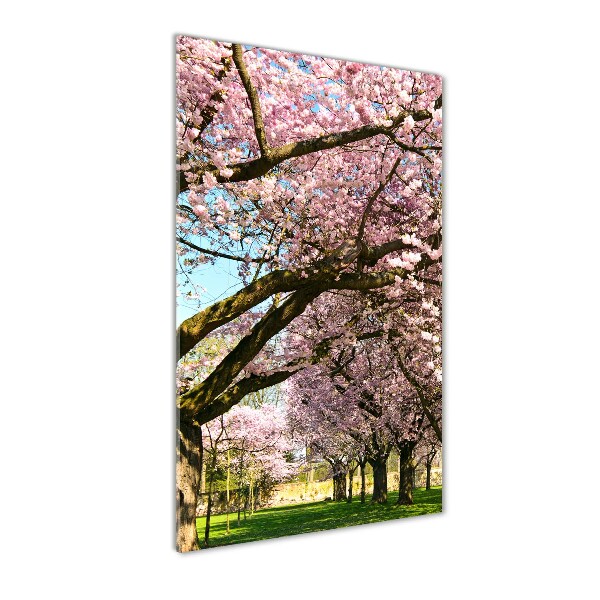 Bild auf Acrylglas vertikal Kirschbäume
