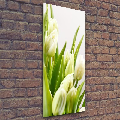 Bild auf Acrylglas vertikal Weiße Tulpen