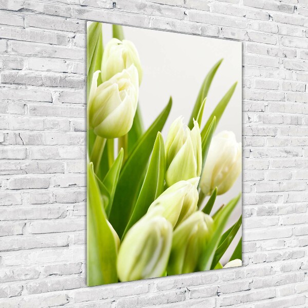 Bild auf Acrylglas vertikal Weiße Tulpen