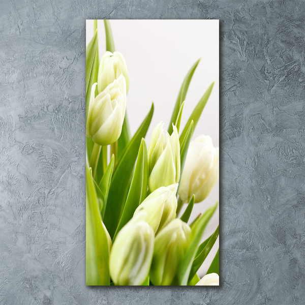 Bild auf Acrylglas vertikal Weiße Tulpen