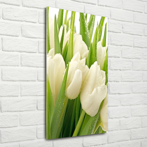 Bild auf Acrylglas vertikal Weiße Tulpen